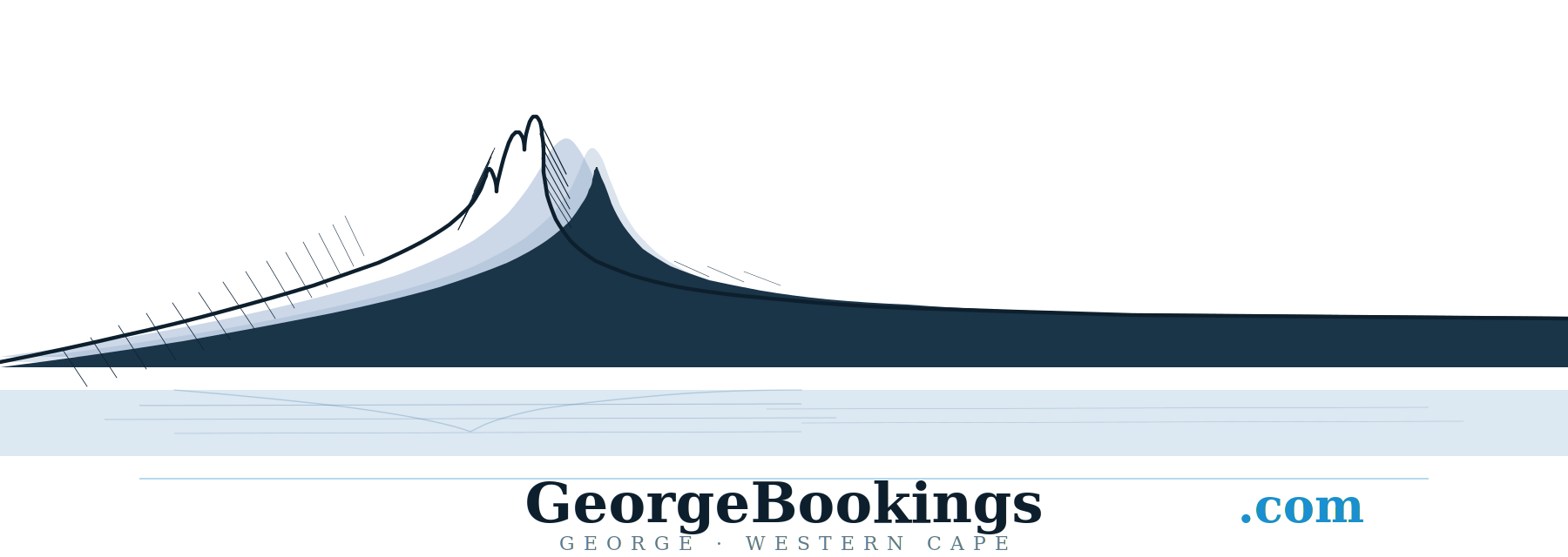 GeorgeBookings.com